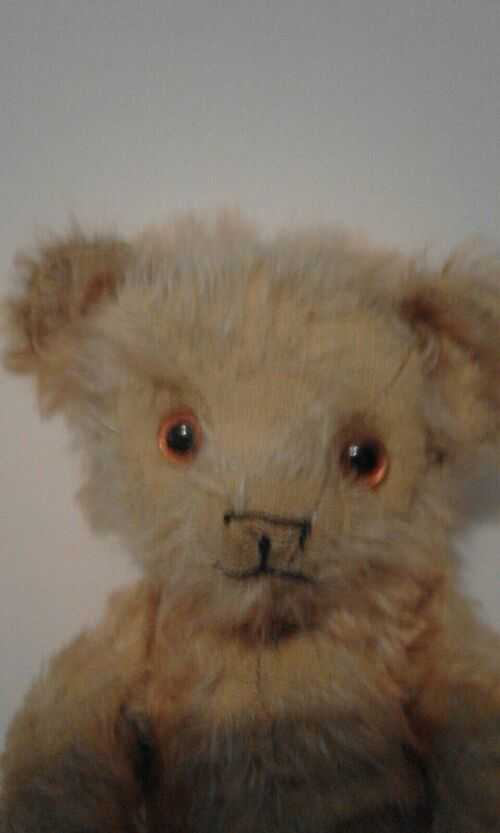 Old teddy bear - very pretty tipped mohair