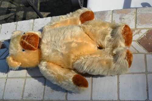 Really cute vintage Teddy Bear bear fully jointed with growler wood wool filled