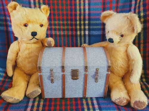 Vintage Storage Trunk/Chest Ideal for a Vintage Bear Display Bears not included
