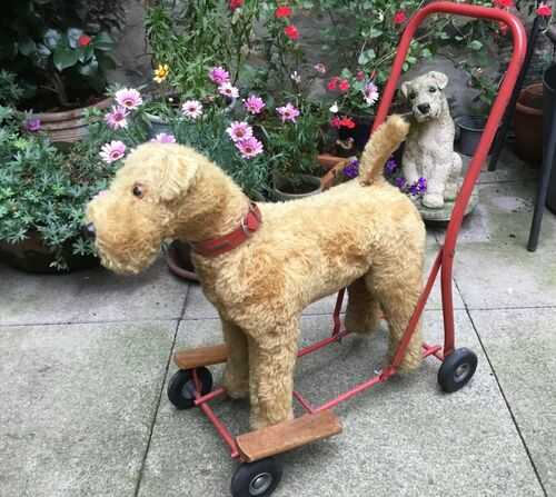 Push along terrier by Pedigree. Airedale, Welsh, Irish or Lakeland