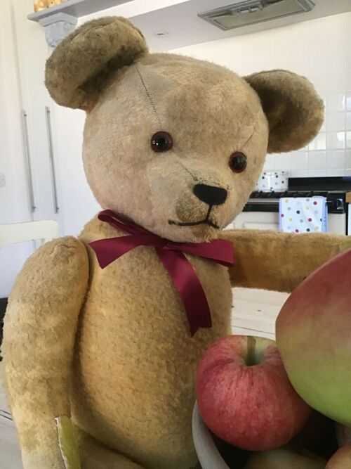 Vintage bear,old 1950s toy teddy bear.20 inches.