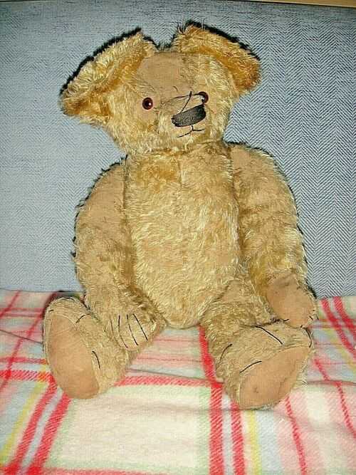 Large old chad bear for rehoming