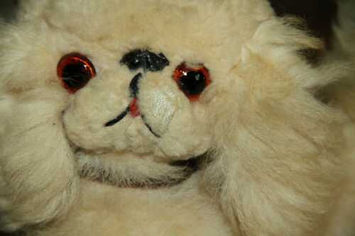 ANTIQUE STUFFED PEKINESE 1920S? LOVELY CONDITION WITH LABELS