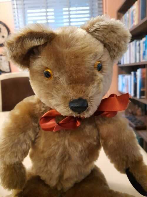 Pedigree Musical 1950's Teddy Bear in good condition.