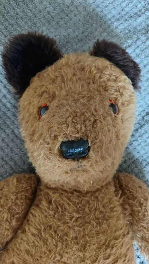 Beautiful 20 inch vintage teddy bear