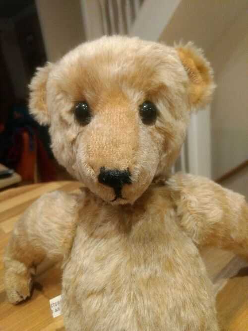Beautiful Artist Bear 'Freddy' Beechfield Collectors Teddy curved arms mohair