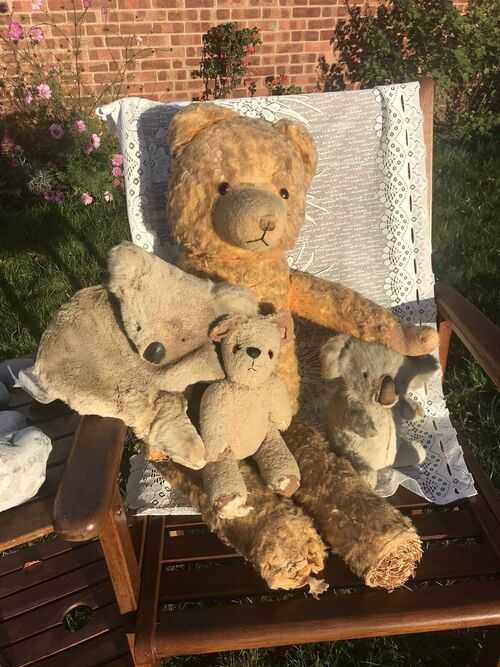 Large Loved Old Teddy Bear and Pals,  Koala and Muff and Vintage TLC