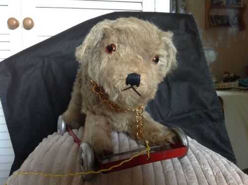 Vintage Classic 1940/50s poss. Chiltern/Chad Valley Teddydog Pull-a-long toy