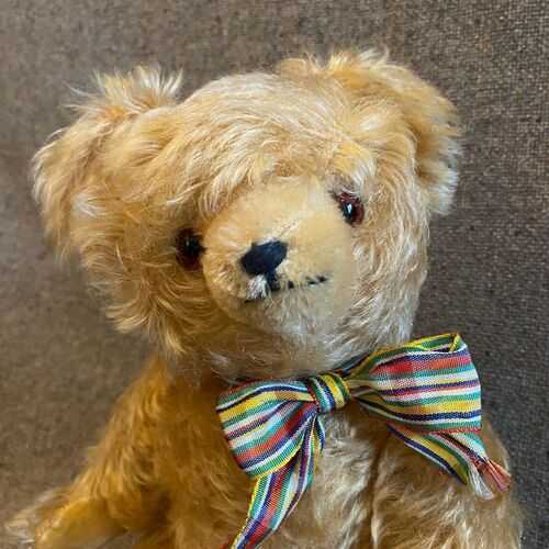 Friendly old German teddy bear | 33cm - 13in | Golden mohair and original ribbon