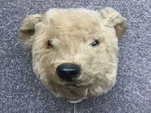 Vintage Chiltern teddy bear head only.restoration project.