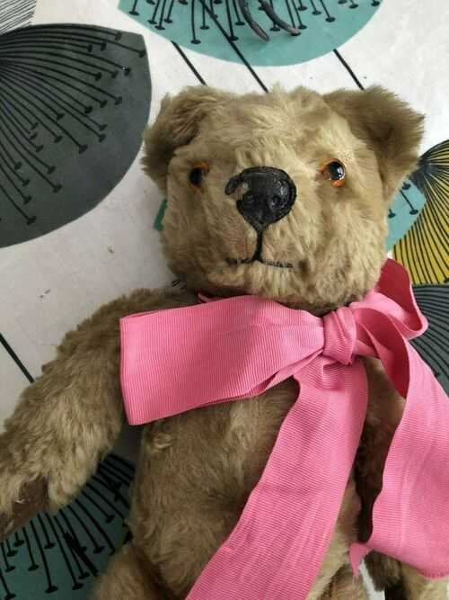 Pedigree? 1960s Mohair bear with transitional type nose