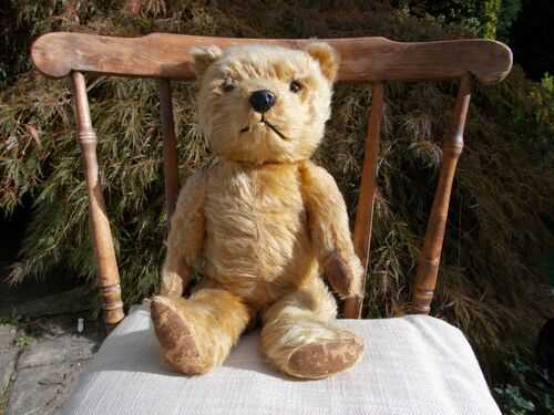 Teddy Bear possible Chiltern 1950s as per photo needs new loving home