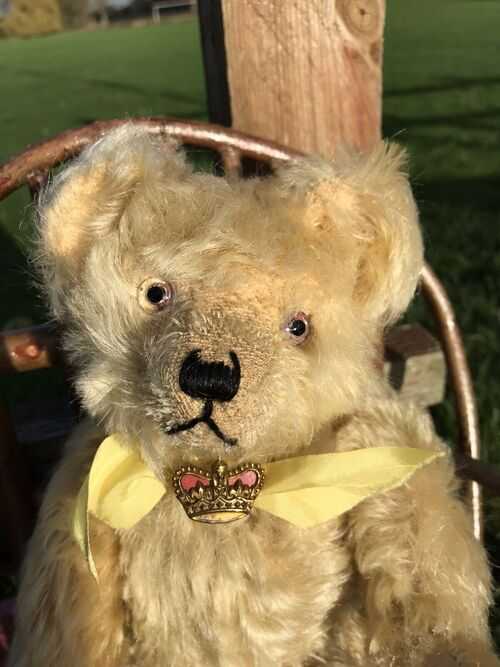 RARE! Superb 1920s Farnell Bear - Old Antique/Vintage English Teddy w/ Brooch