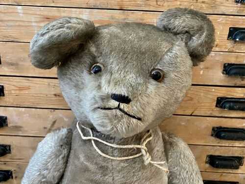 An old German 1930s character teddy bear | 78cm - 31in | Grey mohair