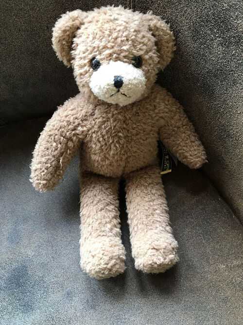 Laura Ashley Teddy Bear 12