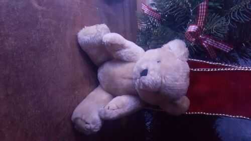 Antique old vintage teddy bear looking for a good home