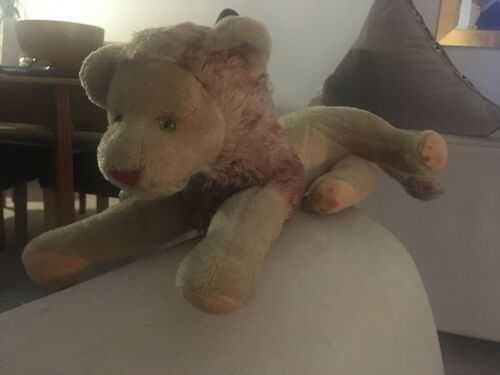 Antique stuffed lion with glass wyes
