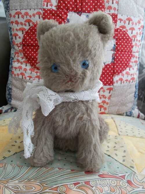 Sweet Old Blue Eyed Cat - Lovely Bear Companion