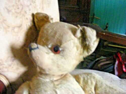 Old 1920s?vintage mohair straw teddy bear long pointed nose worn missing eye 18