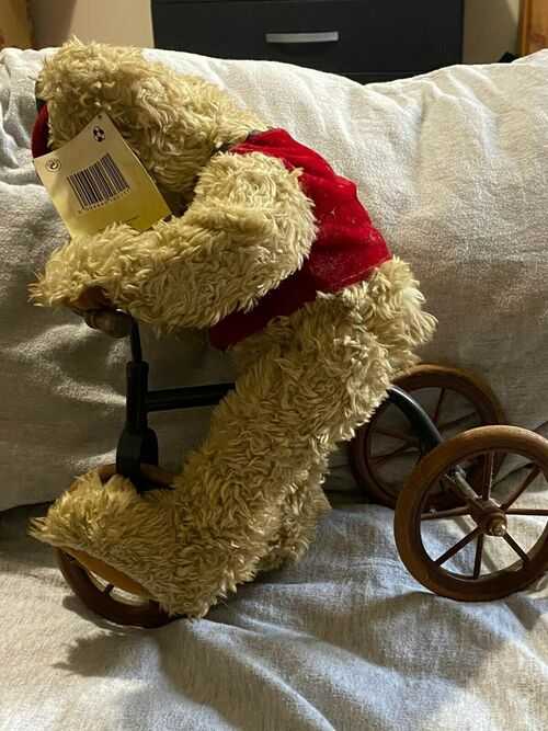 Collectors Gorgeous Teddy Bear on a Bike Brunn am Gebirge German Made Ex Cond
