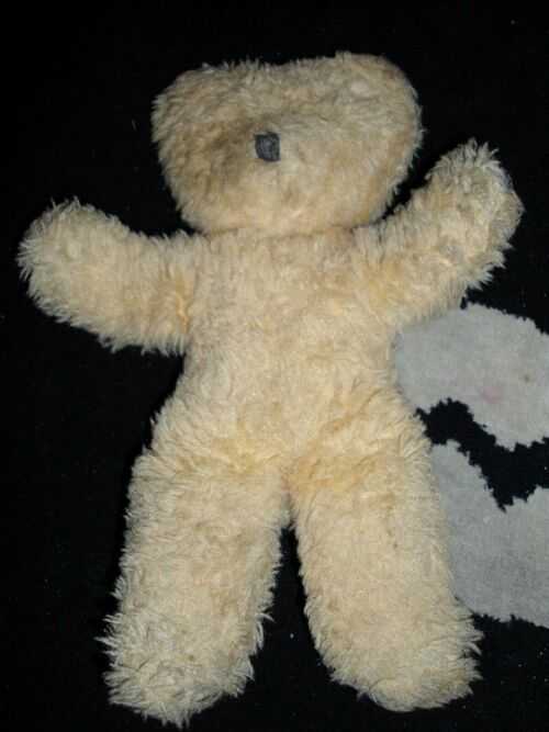 antique pedigree teddy bear 12