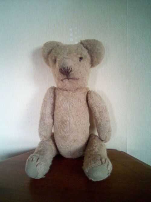 Lovable old Teddy Bear needs new home Antique teddy bear