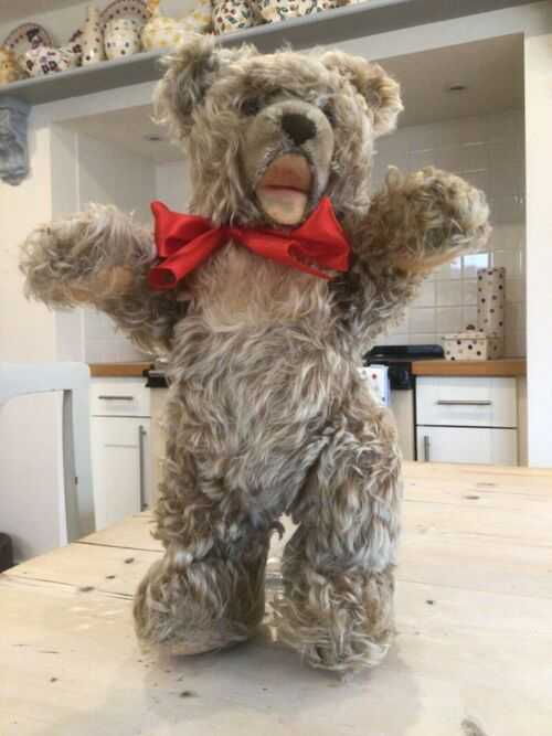 Antique vintage Steiff bear.Steiff toy Zottie teddy bear,button and tag.15 inch