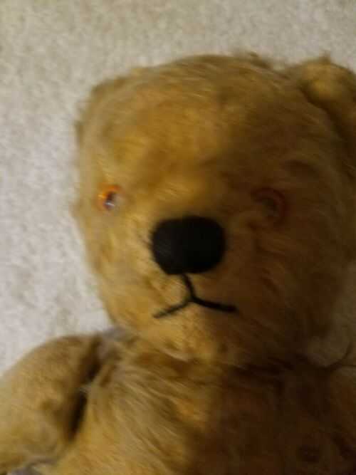 Vintage teddy bear. 14