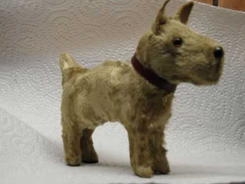 ANTIQUE TOY DOG 1900-1920 MINIATURE TERRIER WITH REPLACMENT SHAKE SQUEEKER
