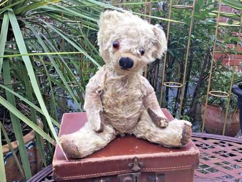 PERCY..CUTE VINTAGE BRITISH CHAD VALLEY TEDDY BEAR-CURLY MOHAIR- 1950-and SUITCASE