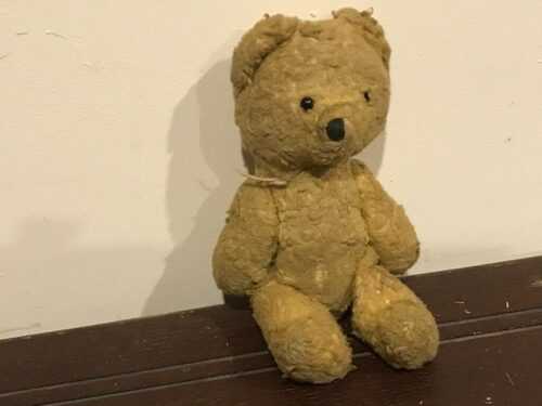 wendy boston teddy bear price