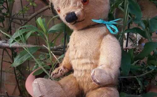 Percy Antique chad valley labelled English jointed mohair teddy bear 14