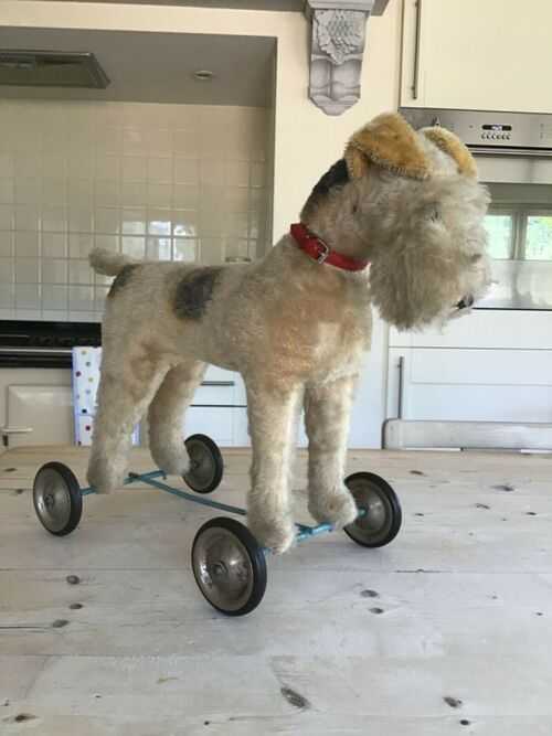 Vintage antique dog on wheels,mohair fox terrier foxy dog,pull along toy.Stanley