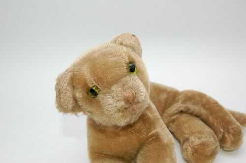 Vintage 1950's Steiff Lioness Lion Cub - Old Vintage Teddy Bear