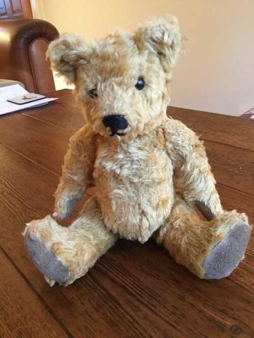 teddy bear blue ribbon