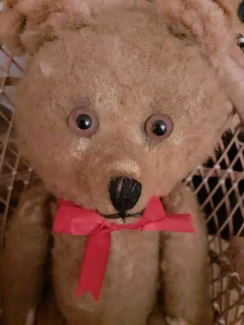 Antique mohair teddy bear