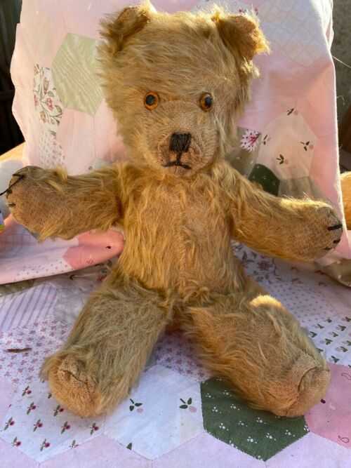 Lovely early  baby pedigree bear with label