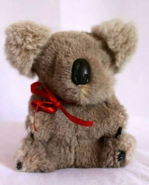 Lovely vintage real fur Koala bear, 1970's, glass eyes, grey, soft, Australia,