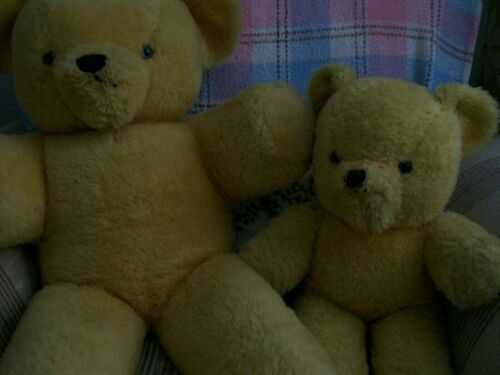 vintage chad valley  teddy bears
