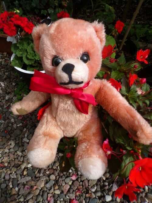 VINTAGE HANDSOME TEDDY BEAR NEEDS A NEW HOME!