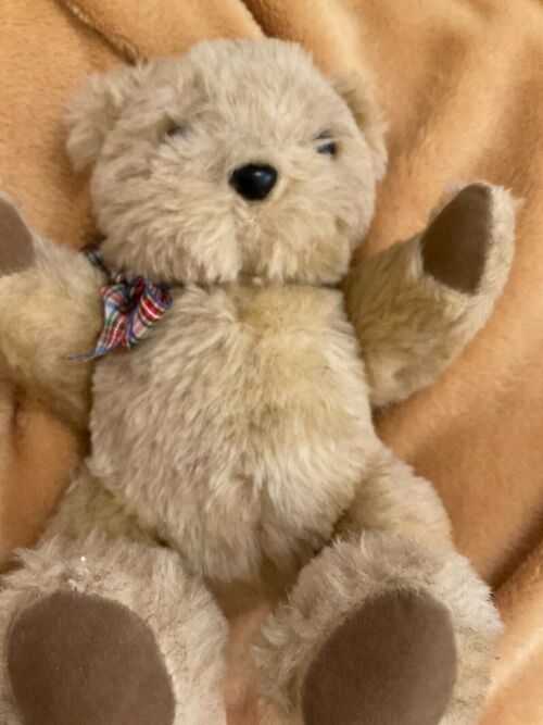 VINTAGE LITTLE TED ST MICHEAL JOINTED 12 TEDDY BEAR