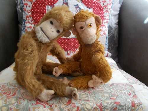 2 Tatty Old Monkey Pals - MUST STAY TOGETHER