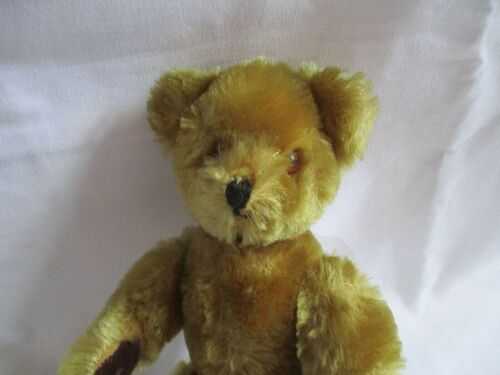 Pedigree Golden Teddy Bear from the 1960s